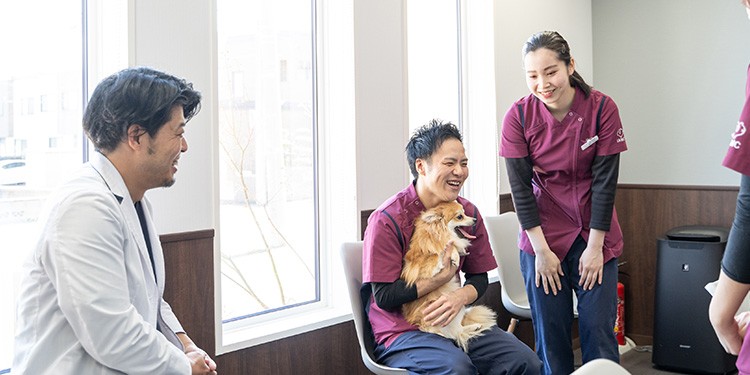 スタッフ紹介 アイリス動物医療センター 札幌市白石区で科目別診療を行なっている動物病院です 犬 猫の一般診療や予防診療の他に専門医による高度医療 手術が必要な高齢ペットのセカンドオピニオンも承ります